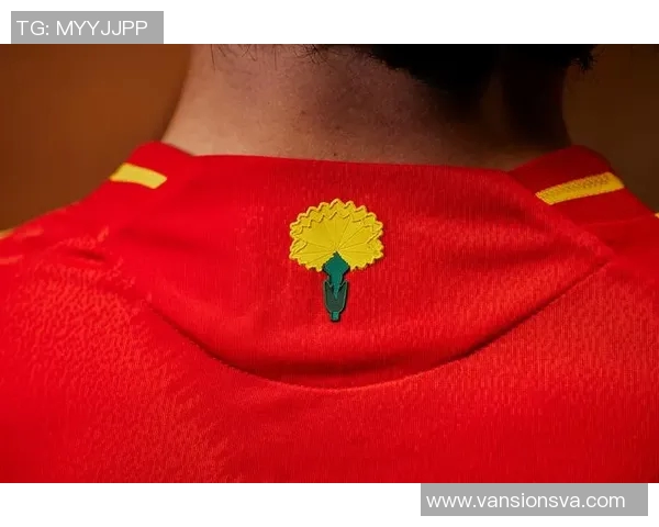 国家队新球衣正式发布,设计灵感源自传统文化