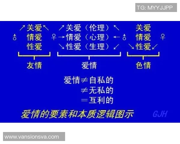 球迷行为学视角下的情感驱动与群体效应研究